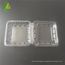 biodegradable plastic fruit packaging